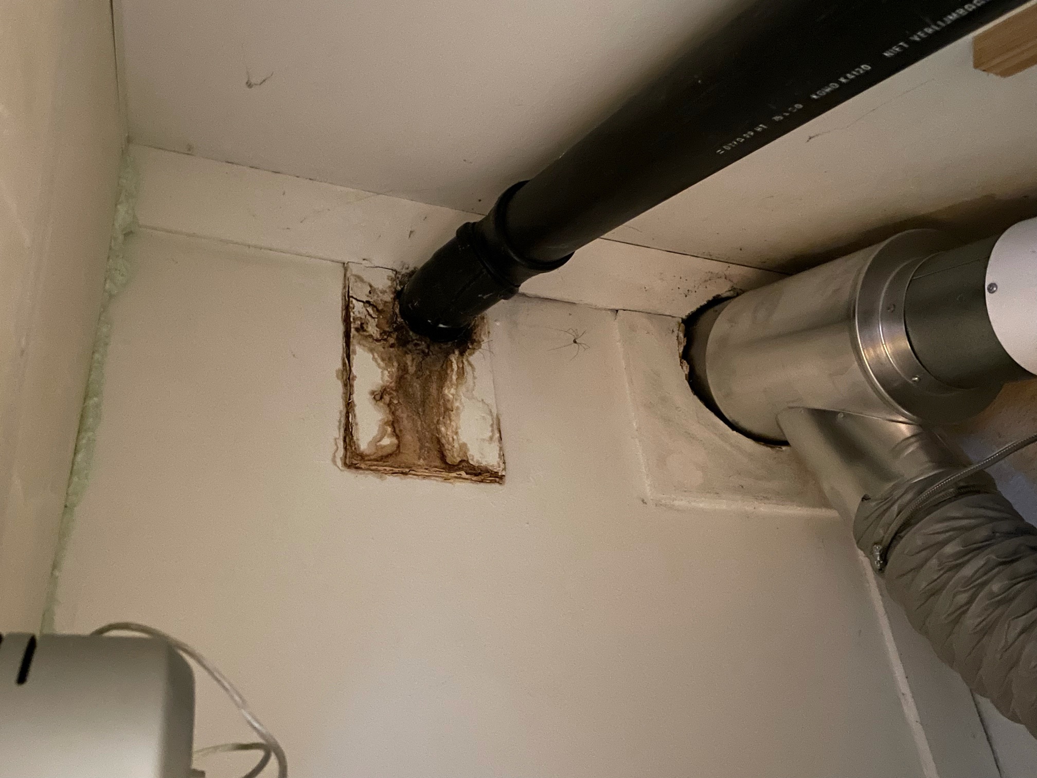 lekkage dak Barendrecht lekkage dak Barendrecht